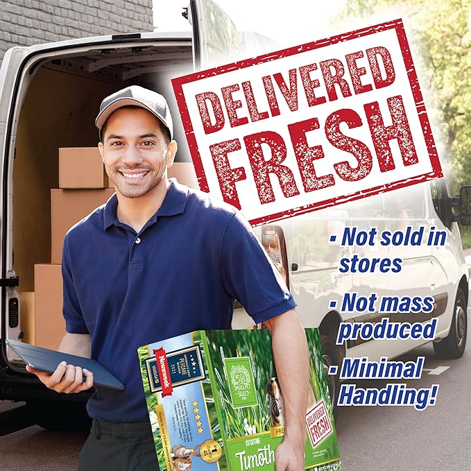 Small Pet Select 1st Cutting Timothy Hay, Animal Food for Guinea Pig, Rabbit, Hamster, Bunny, or Chinchilla, Natural Hay Grown in the USA, 2lb