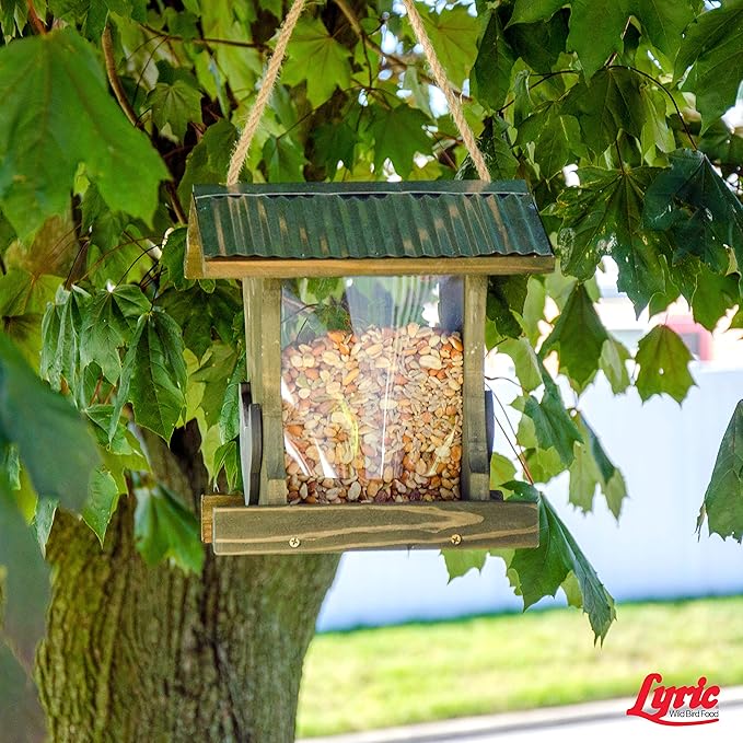 Lyric Delite Wild Bird Seed for Outside Feeders - No Waste Bird Food, Nuts & Seeds Mix, Attracts Buntings, Chickadees & Finches, 10 lb (Pack of 2-5 lb Bags)