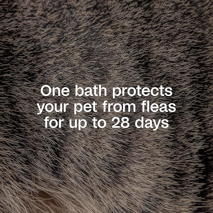 Adams Plus Flea & Tick Shampoo with Precor for Cats, Kittens, Dogs & Puppies Over 12 Weeks Of Age |Sensitive Skin Flea Treatment for Dogs & Cats |Kills Adult Fleas, Flea Eggs, Ticks, and Lice |6 Oz